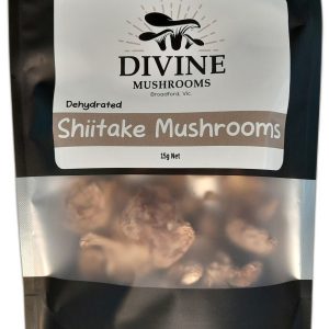 Divine_shiitake_white_bg